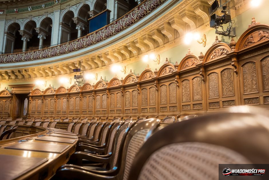 Handel dziećmi w Polsce? Braun składa wniosek do prokuratury