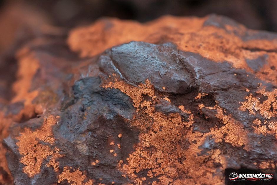 Czy meteoryt z Marsa zmieni historię planety? Oto co wiemy