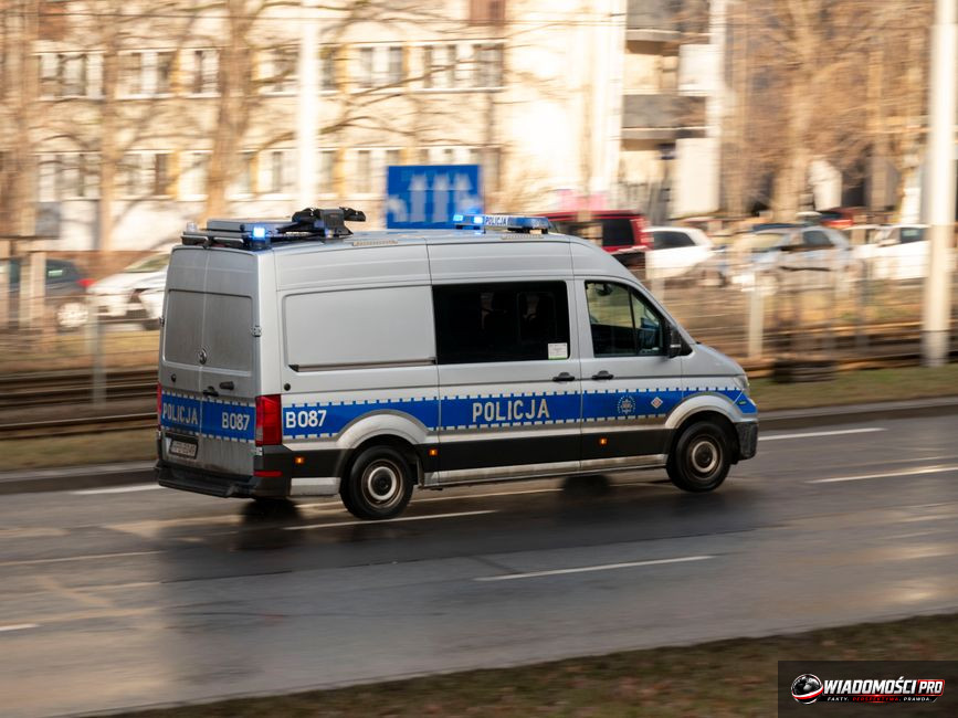 Dokument prawa jazdy w rękach kierowcy.