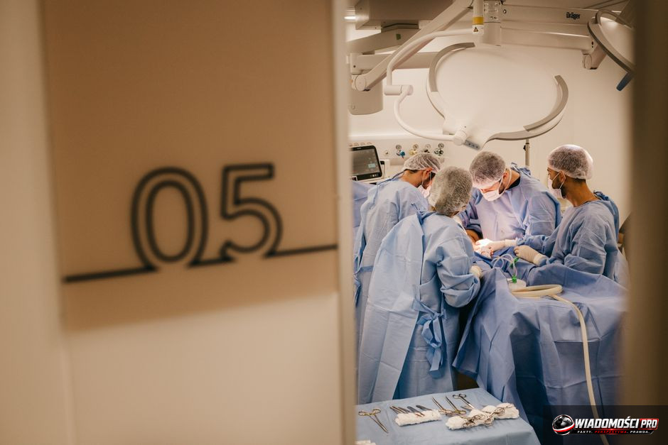 Wizualizacja procesu łączenia fragmentów wątroby w warunkach laboratoryjnych.